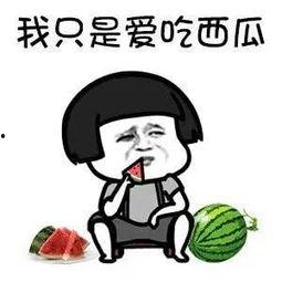 吃娱乐圈的瓜的文案,揭秘明星背后的故事与真相