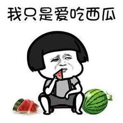 娱乐圈吃瓜爆料吃瓜