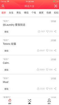 娱乐吃瓜网名大全,盘点那些趣味横生的“吃瓜”网名