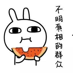 娱乐吃瓜酱涨知识,跟随娱乐吃瓜酱涨知识之旅